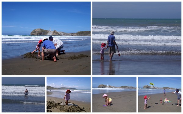 Main beach Castlepoint