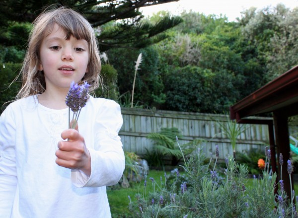 Charlotte happy with her lavender posy