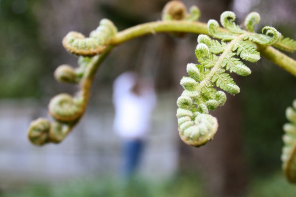 Swinging into Spring