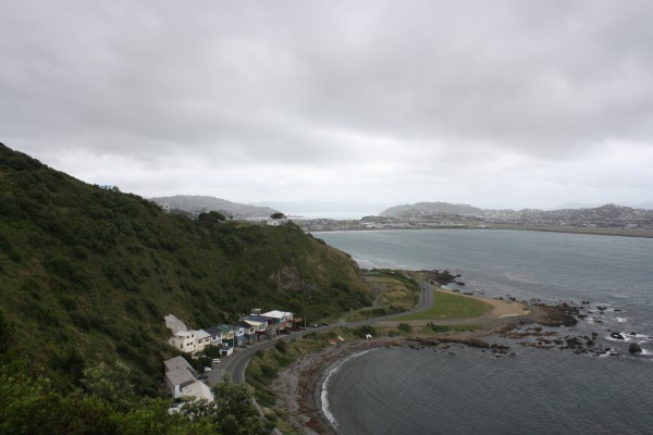 To Lyall Bay