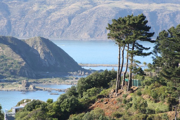 Lyall Bay & Wellington harbour entrance