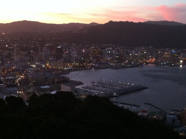 Wellington at dusk from Mt Victoria