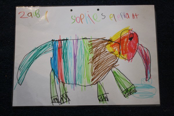 Sophie's elephant