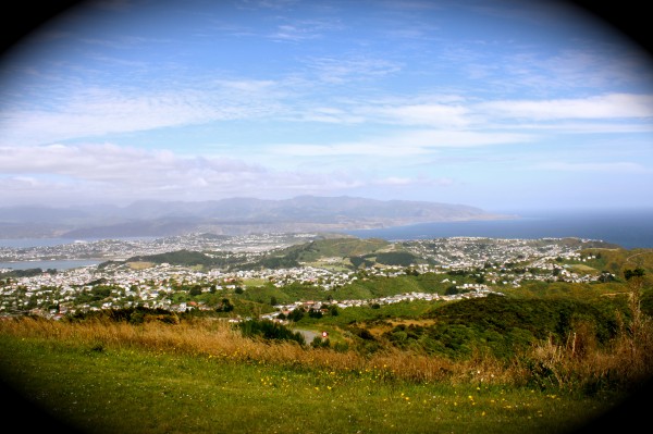 Wellington harbour entrance and the Cook Strait from Brooklyn Hill, Wellington