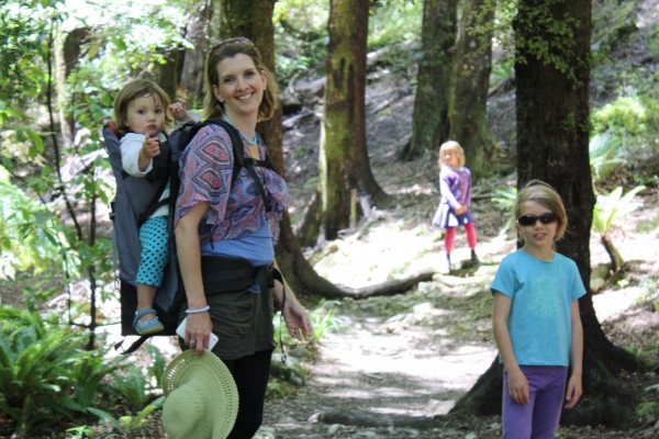 A walk in Catchpool Valley