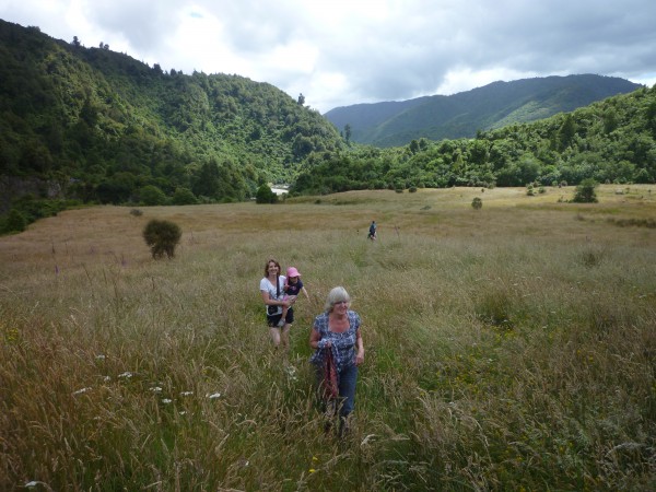 Otaki Forks walk