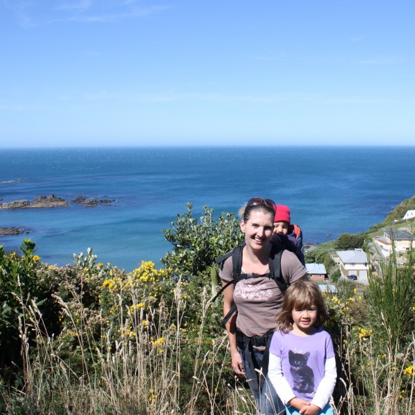 Houghton Bay lookout