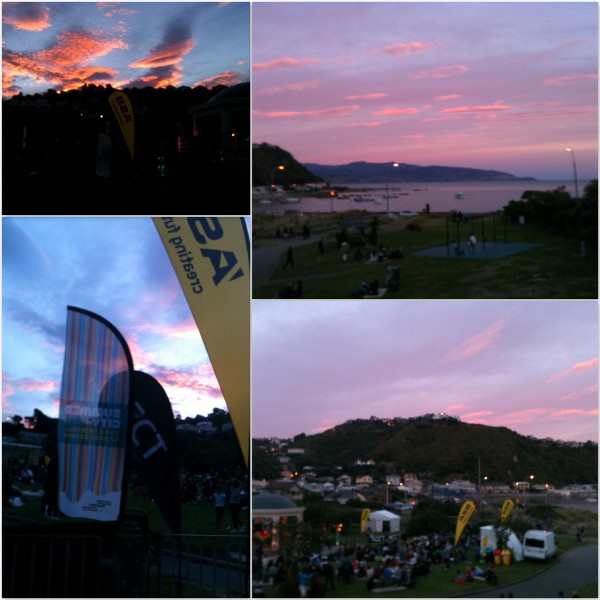 Shorland Park, Island Bay, Summer in the City