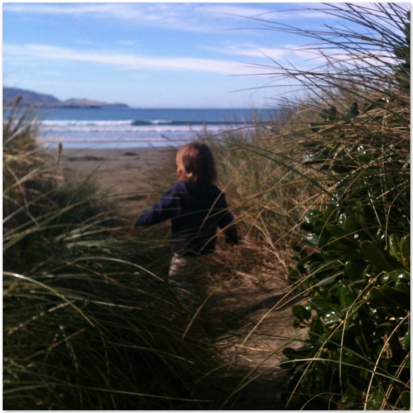 Alice taking a walk through the dunes down to the beach on Saturday morning