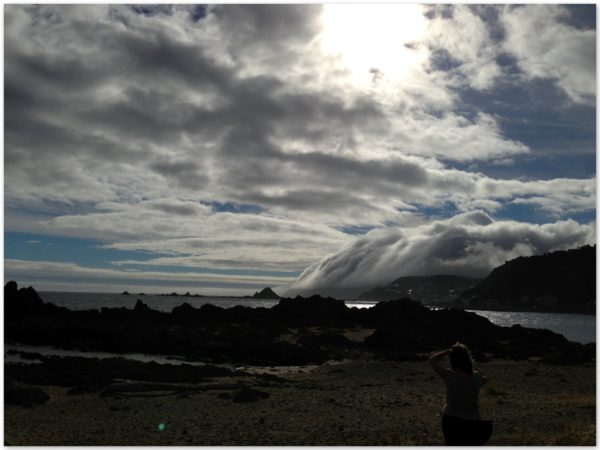 Princess Bay, Wellington south coast