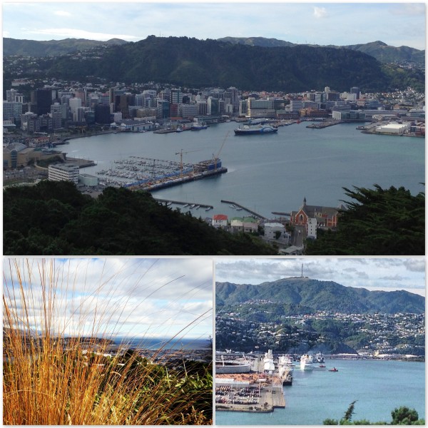 Wellington - You Beauty!!