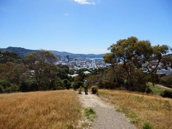 Mum on the City to Sea Walkway - in Central Park, Brooklyn, looking back to Wellington city and the harbour