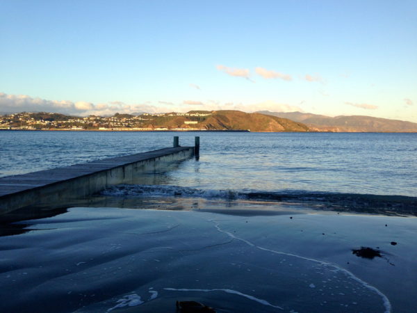 Lyall Bay Beach, Wellington, in winter x