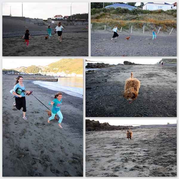 Running on the beach at Island Bay with Cocoa