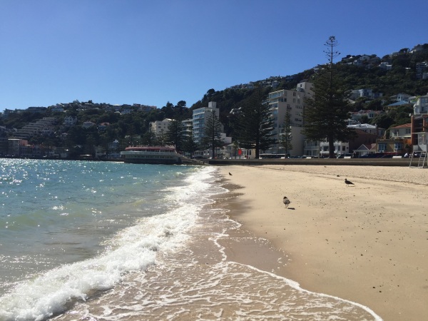 Oriental Parade beach on one scorching February day.