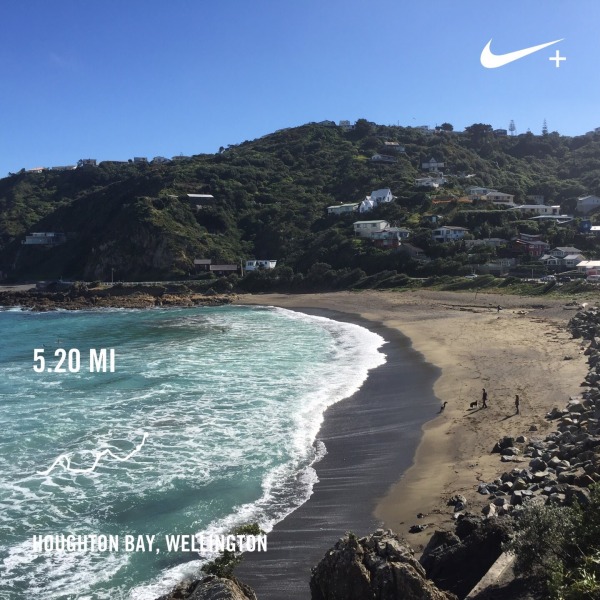 Spring time running at its very best on the south coast of Wellington.