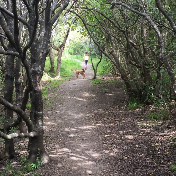 Alice and Cocoa leading the way.