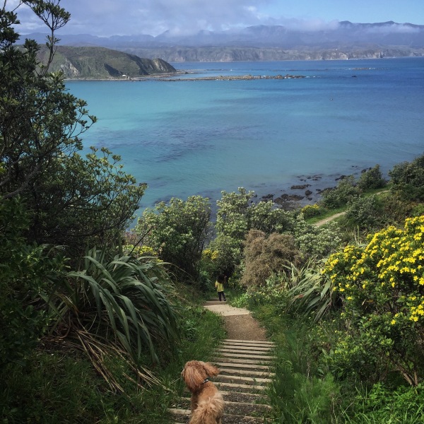 Houghton Bay Headland Reserve